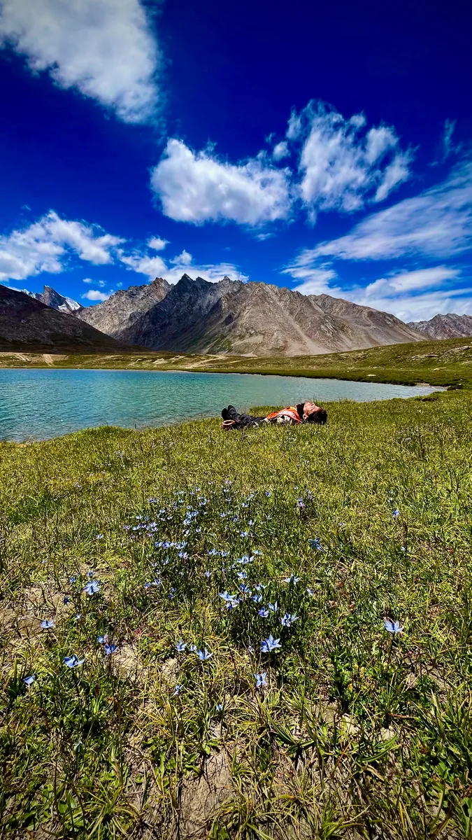 Wildflowers at the lake shore
